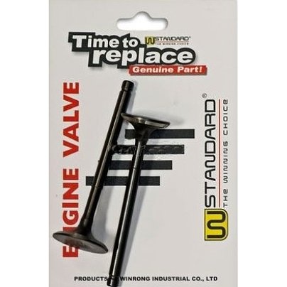 ΒΑΛΒΙΔΑ ΕΙΣΑΓΩΓΗΣ ΕΞΑΓΩΓΗΣ ΣΕΤ ASTREA W-STANDARD