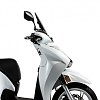 ΖΕΛΑΤΙΝΑ HONDA SH350 21- ΦΙΜΕ W390xH275 3mm MALOSSI